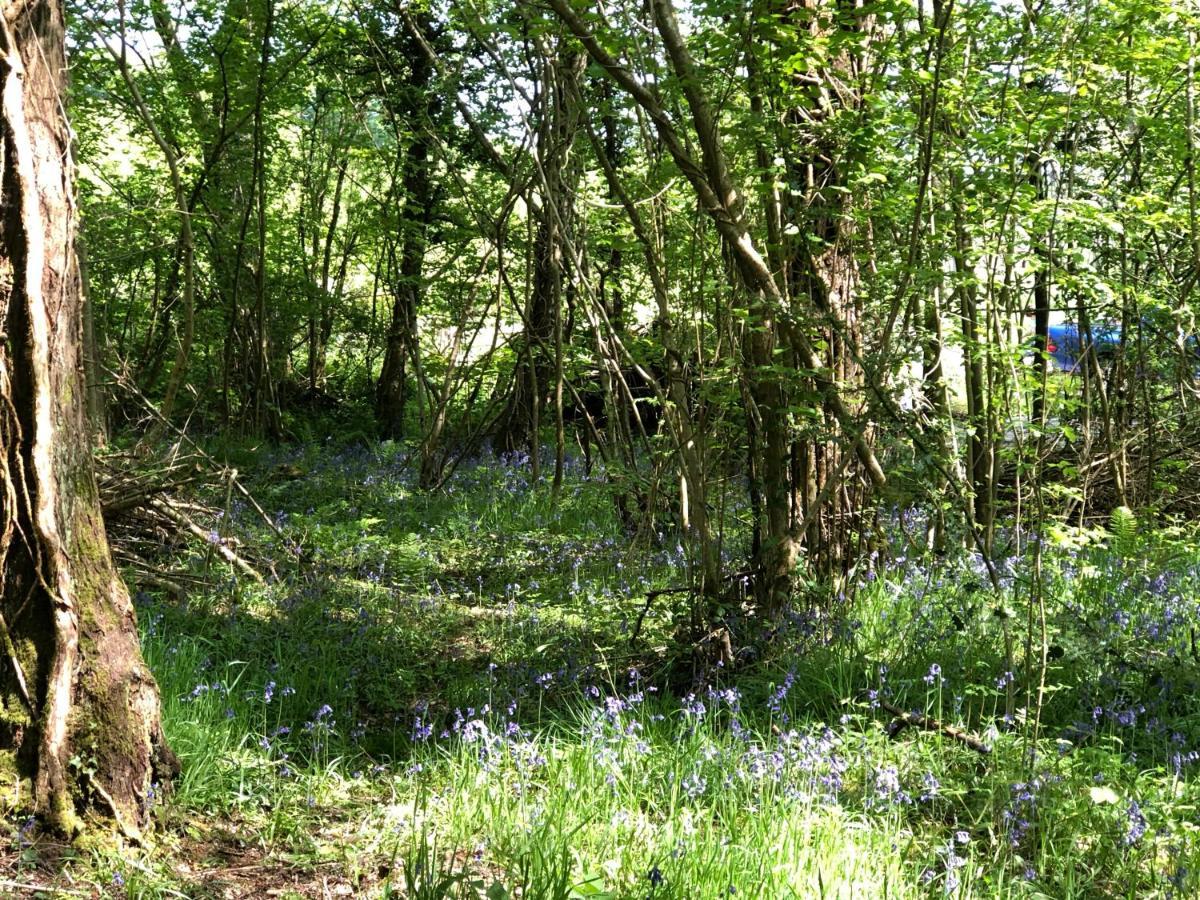 Coed Y Marchog Woodland Retreat Villa Херфорд Екстериор снимка