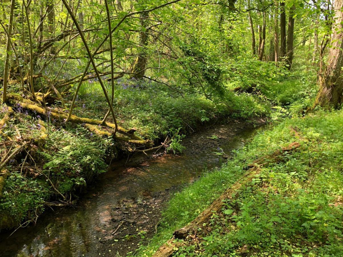 Coed Y Marchog Woodland Retreat Villa Херфорд Екстериор снимка