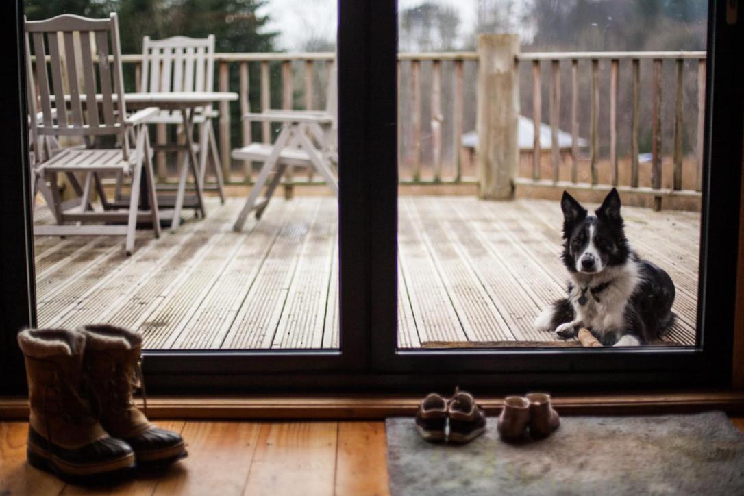 Coed Y Marchog Woodland Retreat Villa Херфорд Екстериор снимка